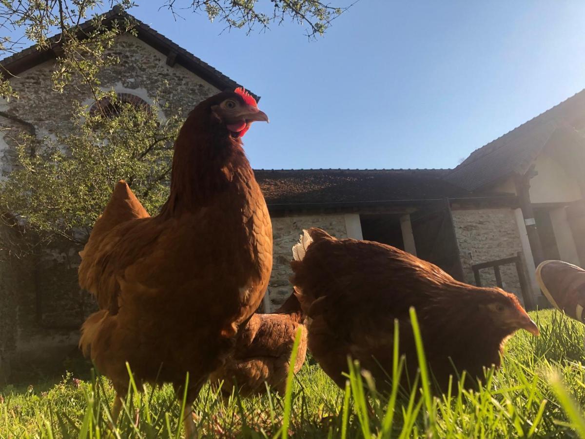 Grand Jardin - Clairefontaine Bed & Breakfast La Huniere Bagian luar foto
